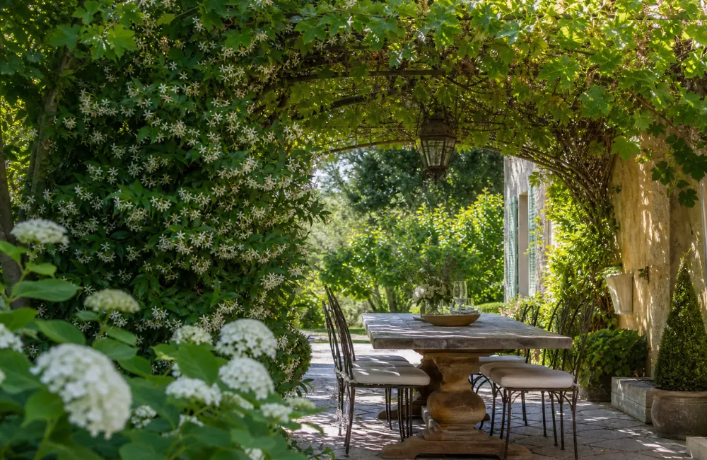 plantes grimpantes pour une tonnelle
