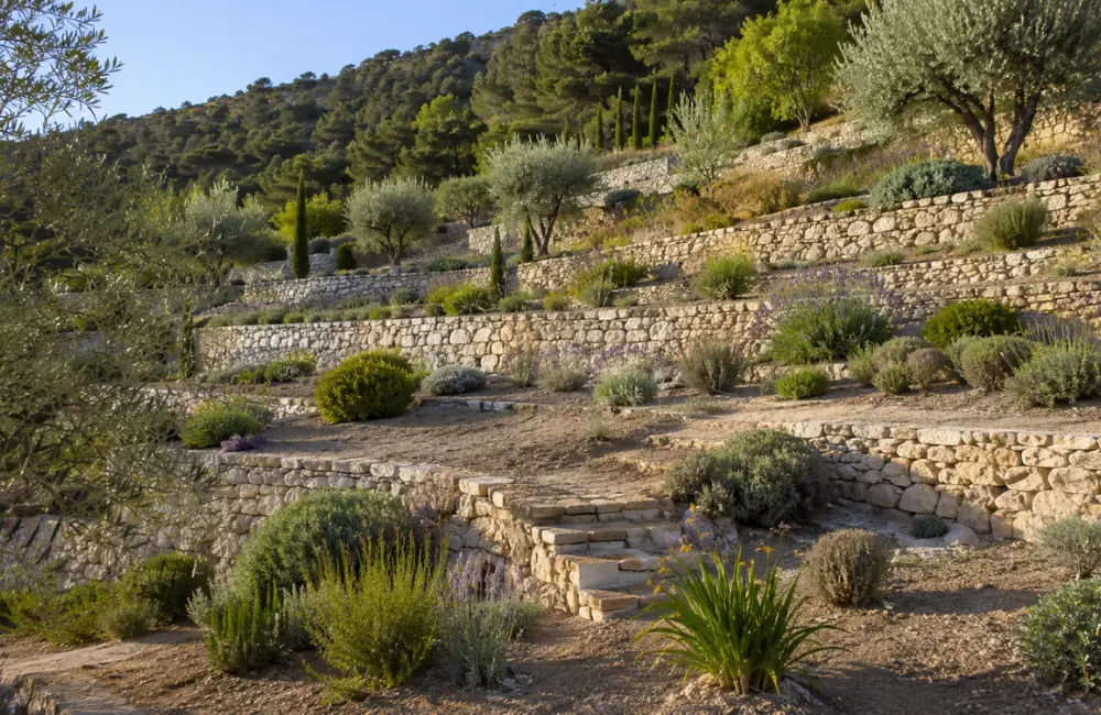aménage run jardin en restanque