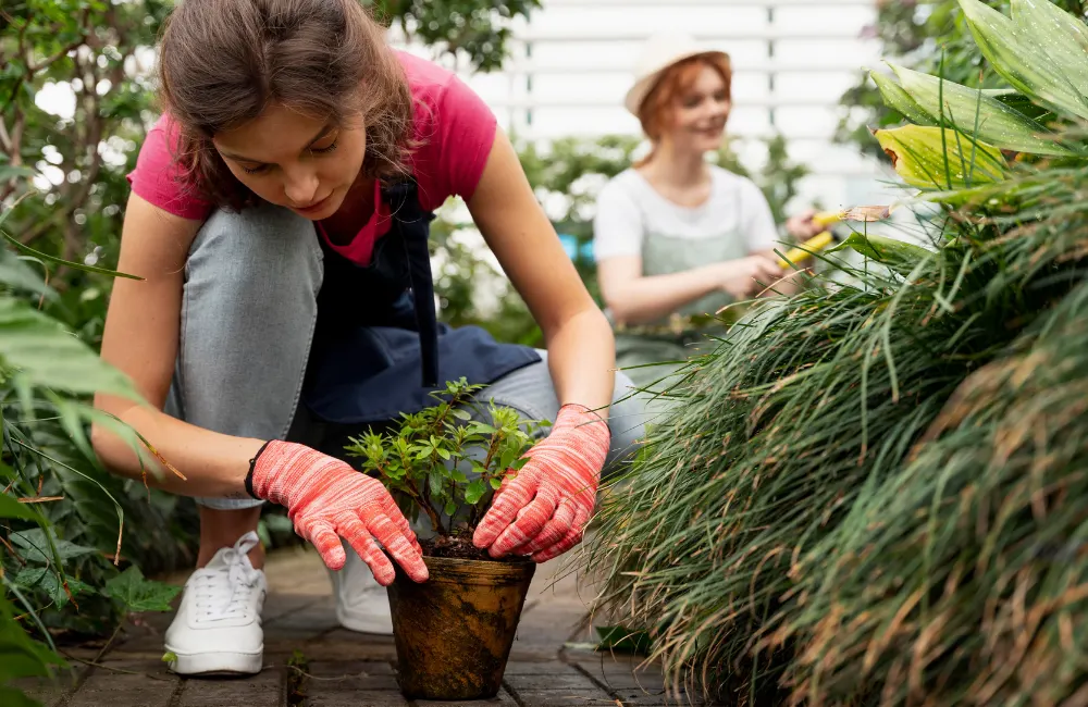 professeur pour apprendre le jardinage